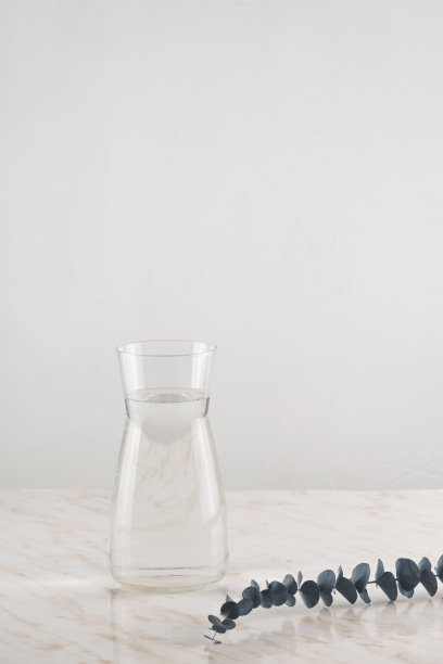 极简主义风格的桉树枝现代滗水器图片下载