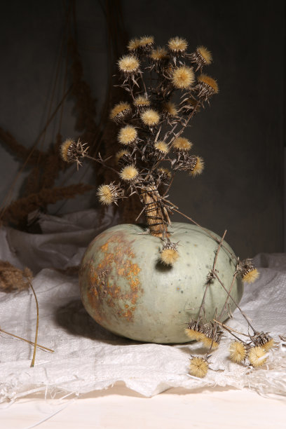 南瓜和干花的静物画。图片下载