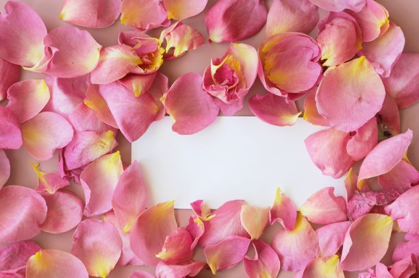 白色便条与玫瑰花瓣框架图片下载