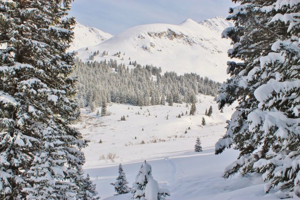 冬天下雪的场景图片下载