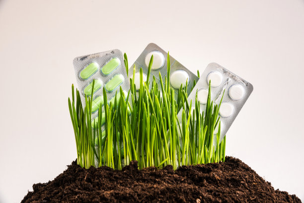 绿色的草和药丸的水泡孤立在白色的背景图片下载