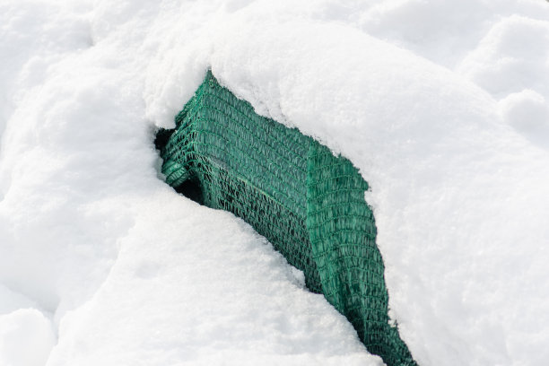 公园或花园里的植物和树木被雪和毯子覆盖着图片下载