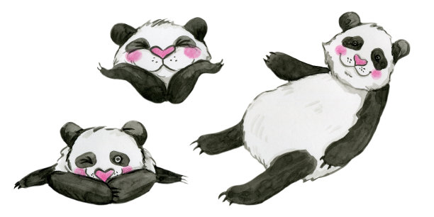 有趣的可爱的熊猫图片下载