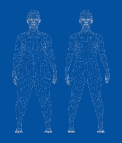 胖女人瘦，前后减肥图片下载
