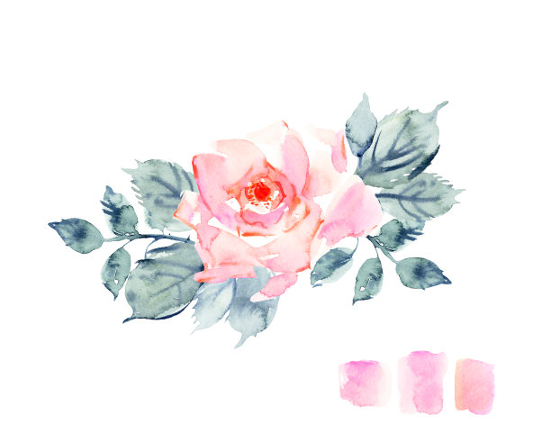手绘水彩玫瑰花在柔和的粉红色和红色的颜色，绿色的叶子图片下载