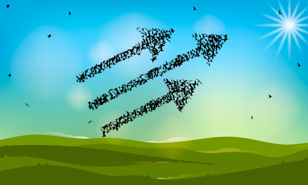 成长或成功的概念。业务发展和职业成长理念。一大群飞鸟形成一个箭头形状。矢量插图。图片下载