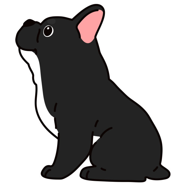 轮廓黑色的法国斗牛犬坐在侧面的观点图片下载