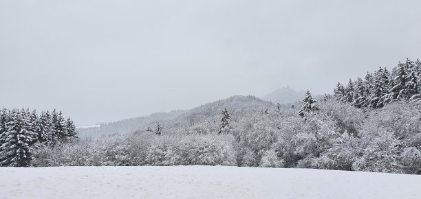 前景是白雪覆盖的景观白雪覆盖的田野，后面是林地，背景是城堡图片下载
