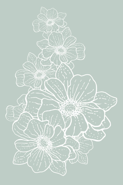 柔软可爱的背景与白色嚏根草花从平滑的线条。美丽的春天开花图片下载