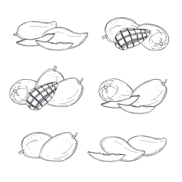芒果果实。矢量插图。图片下载