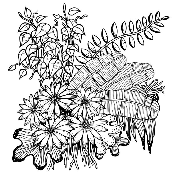 手绘的叶子图片下载