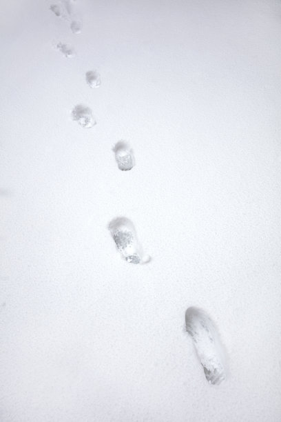雪地里的脚印图片下载