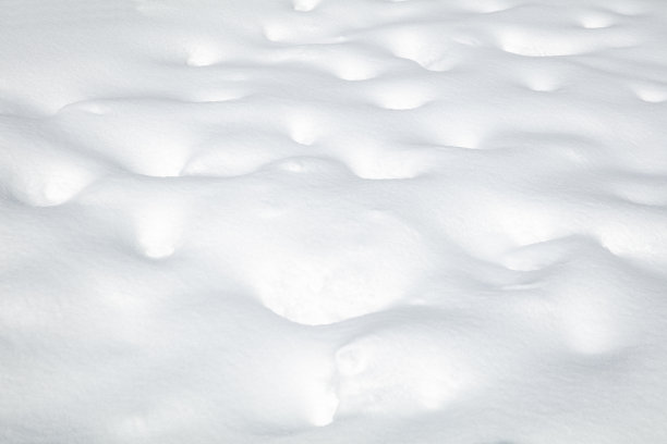 白雪背景的特写图片下载