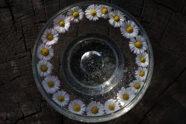 圆形的透明图片下载