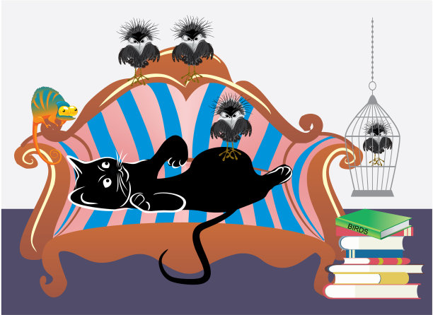 猫和鸟图片下载