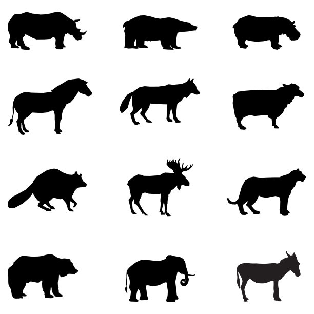 白色背景上的动物剪影图片下载