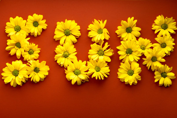 字太阳从亮黄色的天然花在热橙色的背景。用雏菊制成的花卉信件的布局。模式植物。春、夏、创意、清新、生活理念图片下载