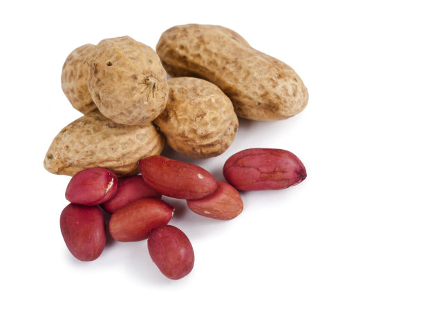 堆花生图片下载