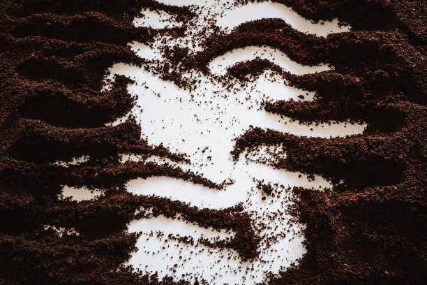 使用咖啡粉纹理，抽象的背景和白色的地方作为文本。图片下载