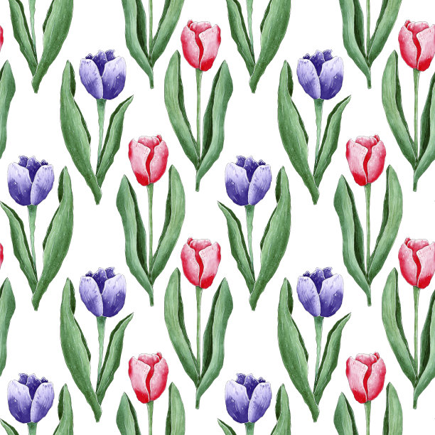 水彩郁金香图案，春花背景。图片下载