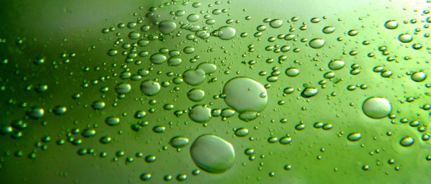 绿色的油滴在水中。不同大小的气泡在绿色抽象背景上图片下载