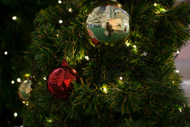 用彩球装饰圣诞树图片下载