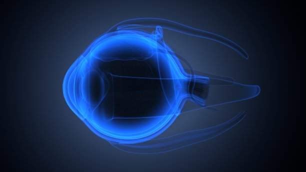 男性人眼解剖的3d渲染。图片下载