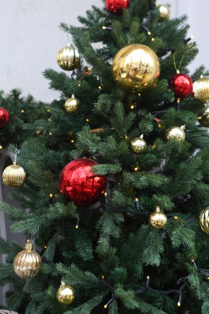 装饰圣诞节的圣诞树图片下载