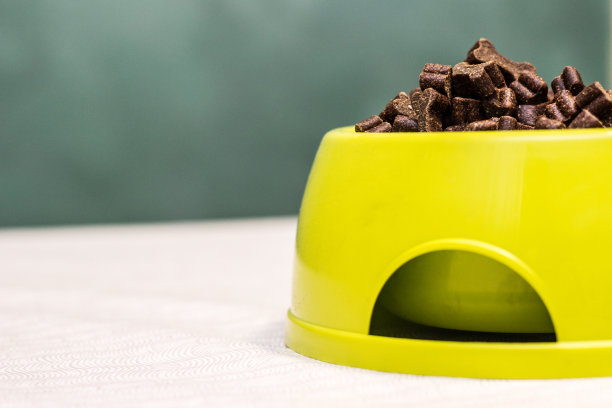 一碗狗粮放在桌子上图片下载