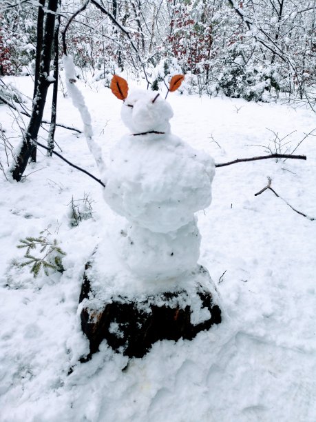 雪魔鬼图片下载