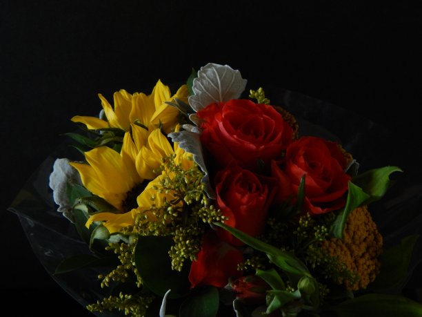 为了一个特别的人图片下载