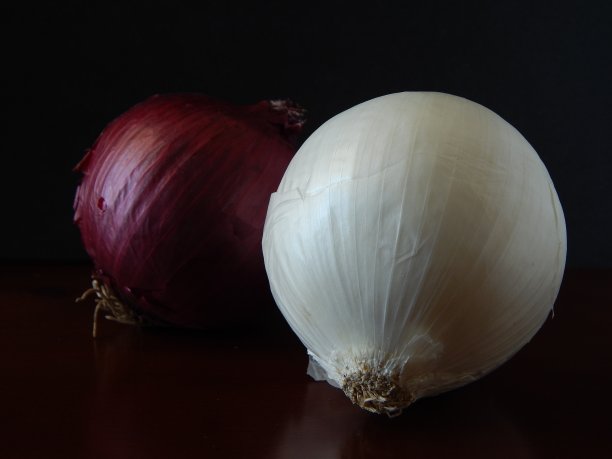 根类蔬菜，白洋葱和红洋葱图片下载