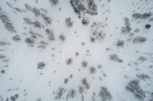 冬天农村景观图片下载