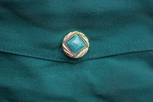 绿色布料上的一个大的彩色纽扣图片下载