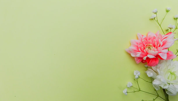 抽象背景的重叠纸在时尚柔和的颜色黄色和粉红色-材料设计，极简主义，现代，简单图片下载