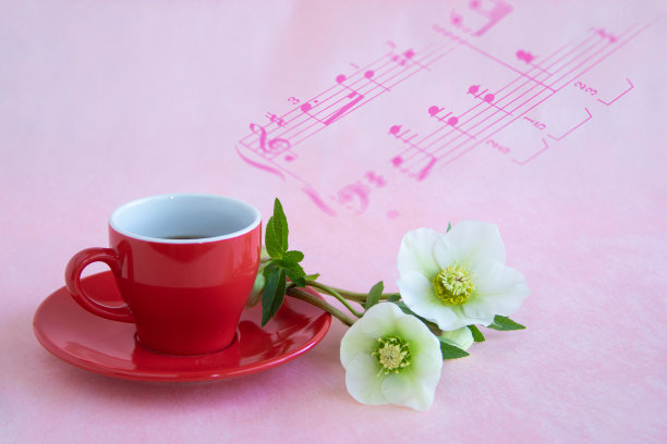 尼日尔白色嚏根草花束和音乐图片下载