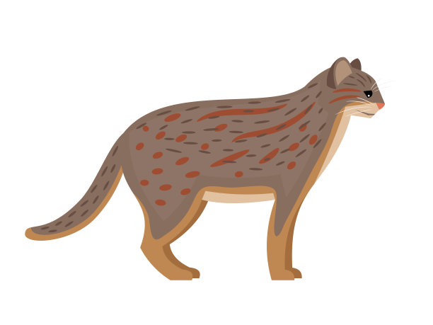 捕食者和斑点。卡通毛茸茸的外来哺乳动物，可爱的斑点野兽的自然图片下载