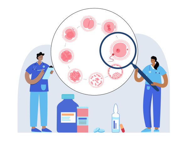 胚胎发展的概念图片下载