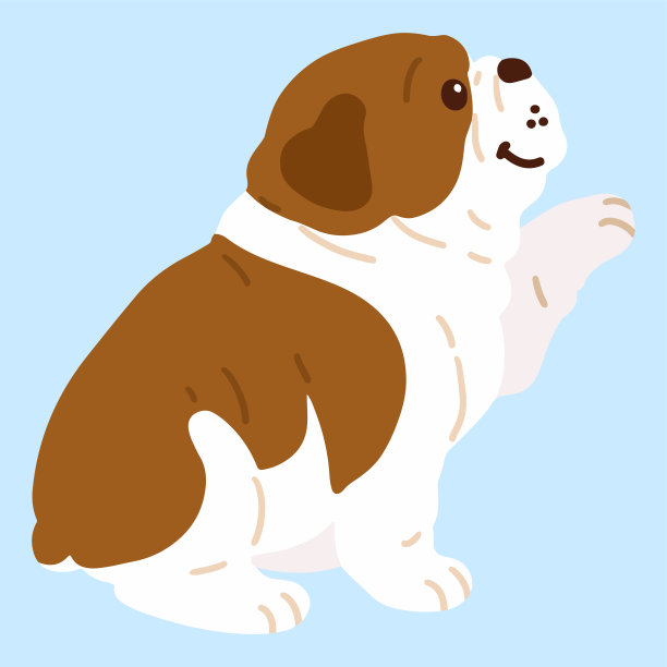 扁可爱的深褐色牛头犬坐着握手图片下载