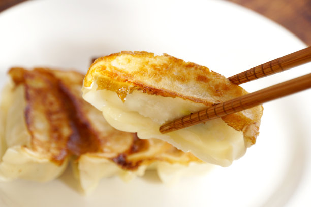 看起来很好吃的烤饺子。素材图片