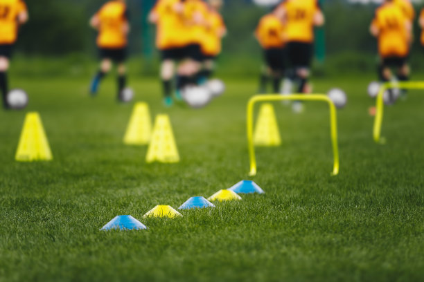 足球训练场地。草地球场训练。正在进行足球训练的球员。欧洲足球领域图片下载