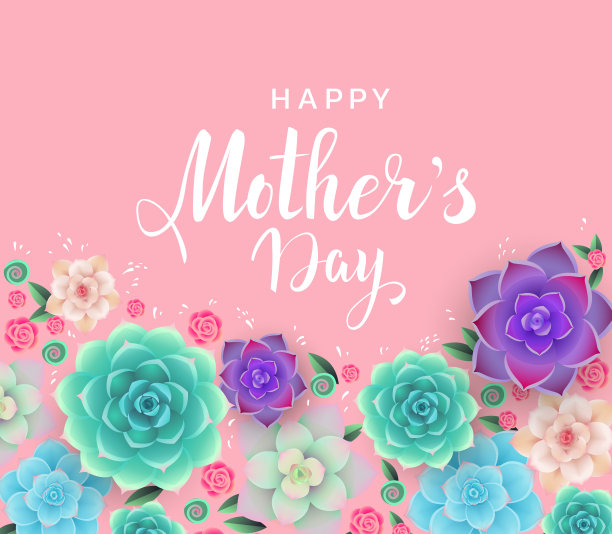 母亲节美丽的花卉横幅设计与彩色多肉和手写字母在浅粉色的背景。贺卡。——矢量图片下载