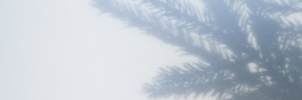 模糊的照片，一个影子从一个圣诞节树枝上的白灰色背景墙或桌子。横幅图片下载