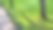 洒水车向绿色草地喷水。公园自动浇水系统图片下载