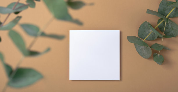 真实的照片。方形邀请卡模型与桉树枝。顶部视图与复制空间，柔和的米色背景。模板的品牌和广告图片下载