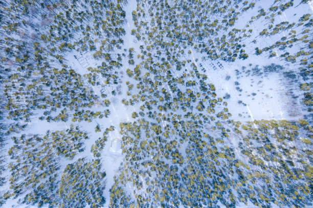 鸟瞰图的冬季森林覆盖在雪。无人机摄影图片下载