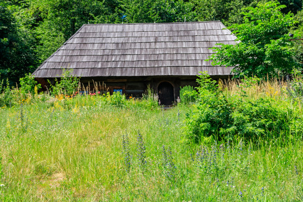 乌克兰基辅附近的Pyrohiv (Pirogovo)村，古老的传统乌克兰农村房屋图片下载