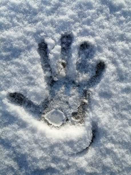 下雪的一天图片下载