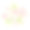 花。白色和粉红色的百合。花束。花的背景。美丽的矢量图。春天。孤立。图片下载