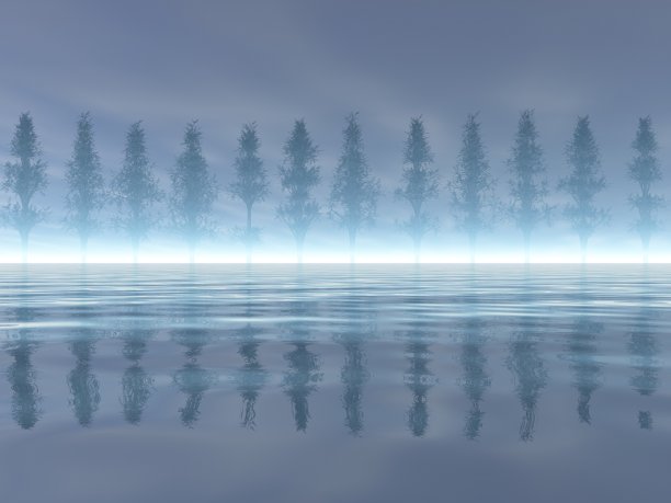 美丽的湖泊和树木图片下载